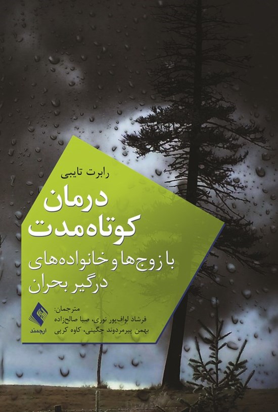 تصویر جلد کتاب درمان کوتاه مدت با زوج ها و خانواده های درگیر بحران