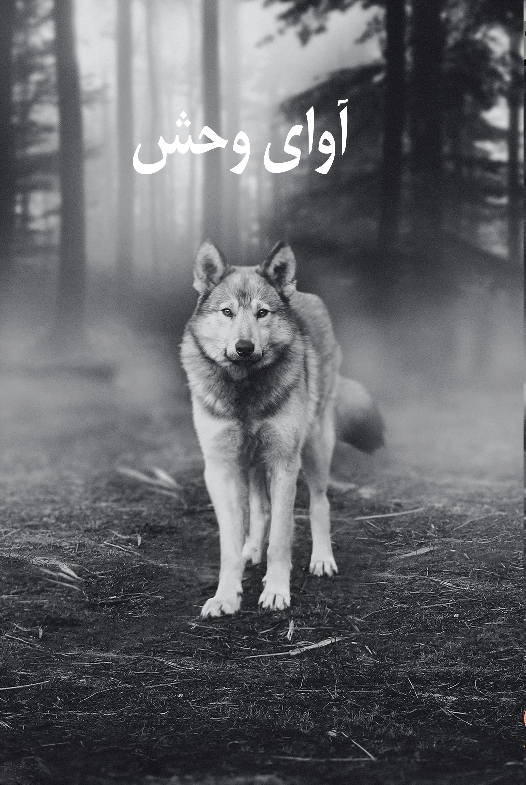تصویر جلد کتاب آوای وحش