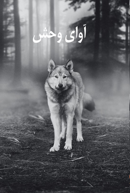تصویر جلد کتاب آوای وحش