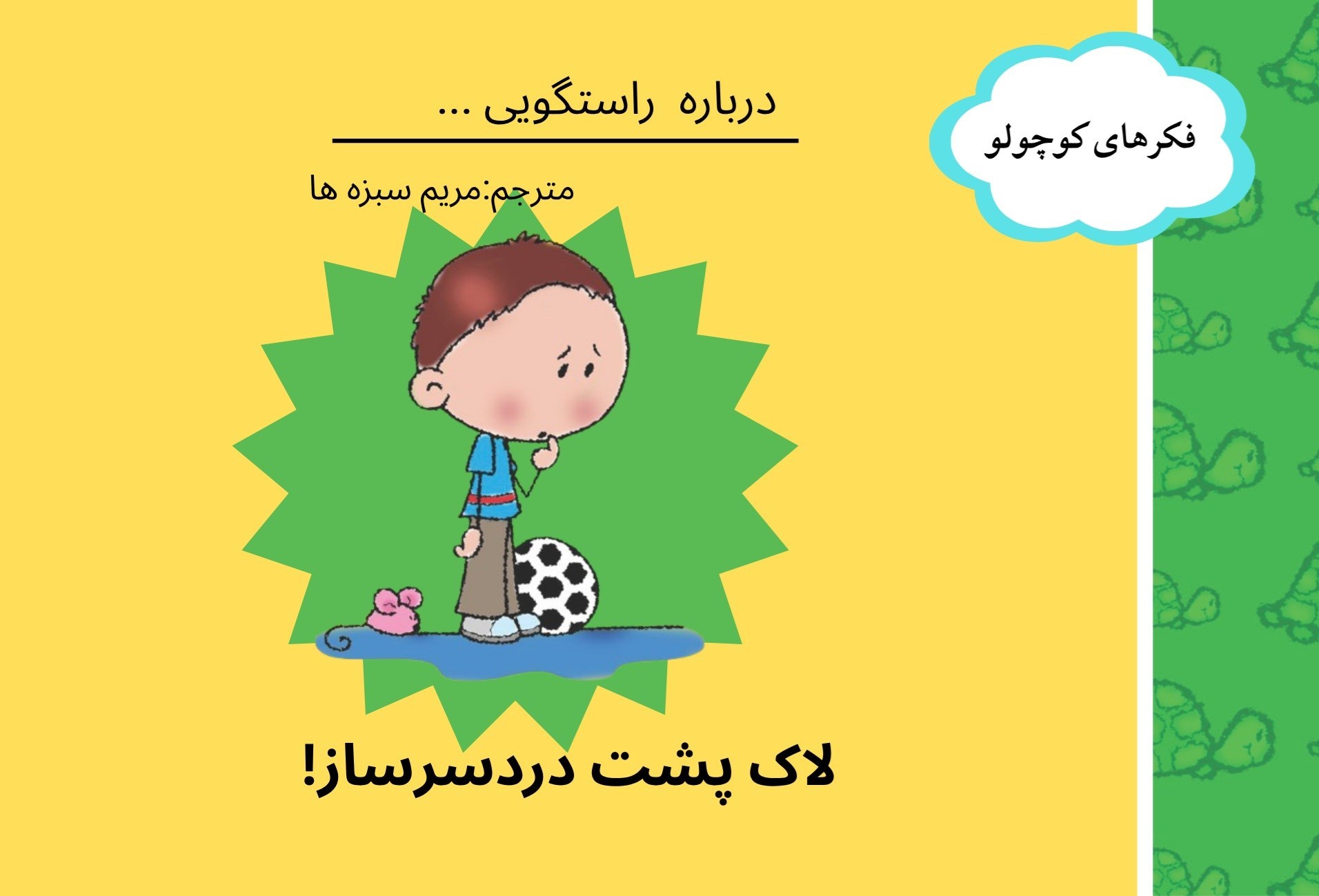 تصویر جلد کتاب لاک پشت دردسرساز