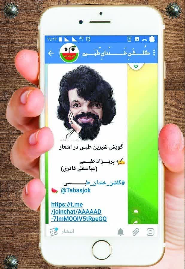 تصویر جلد کتاب گلشن خندان طبسی