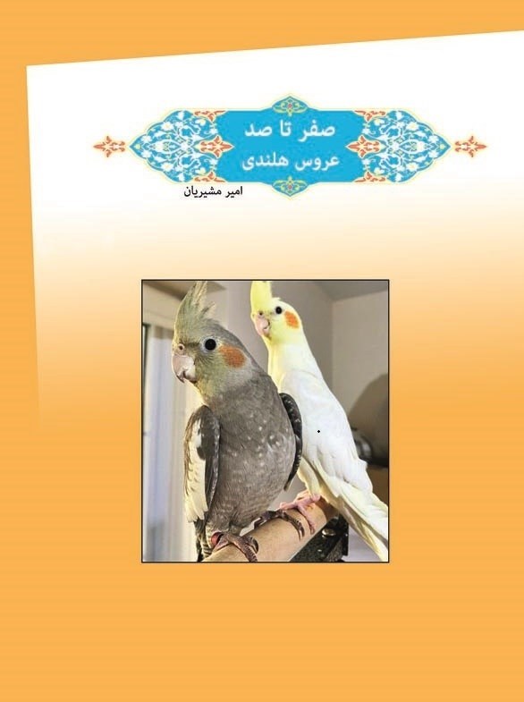 تصویر جلد کتاب صفر تا صد عروس هلندی