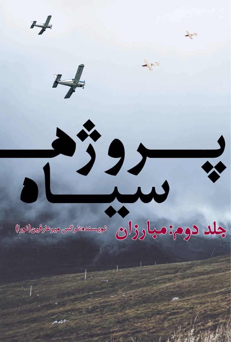 تصویر جلد کتاب پروژه سیاه (جلد دوم؛ مبارزان)