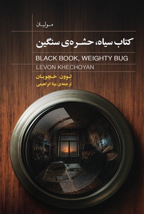 تصویر جلد کتاب کتاب سیاه، حشره سنگین