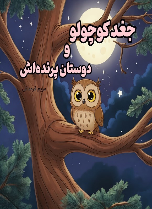 تصویر جلد کتاب جغد کوچولو و دوستان پرنده اش