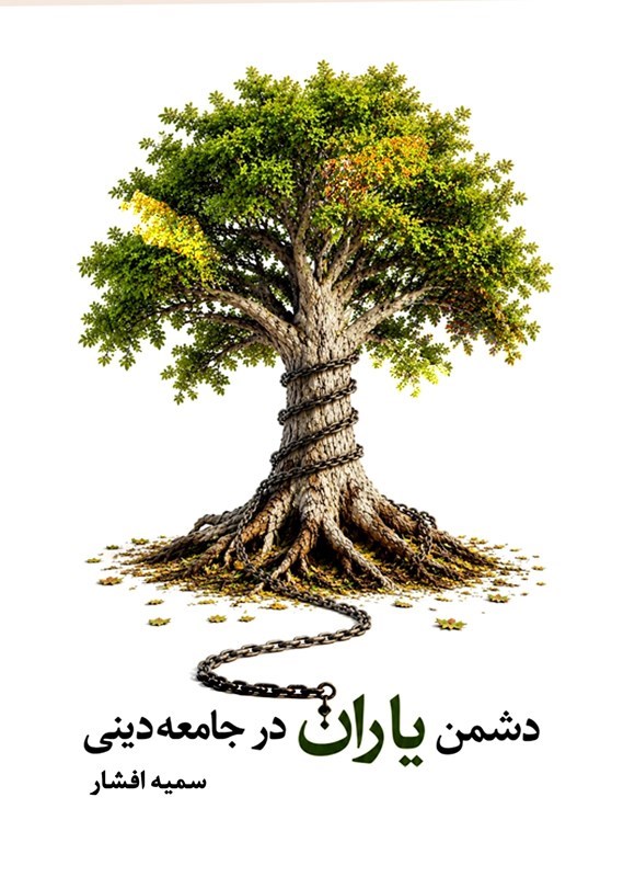 تصویر جلد کتاب دشمن یاران در جامعه دینی