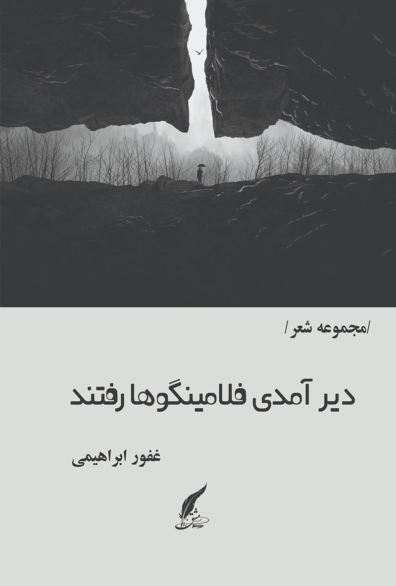 تصویر جلد کتاب دیر آمدی فلامینگوها رفتند