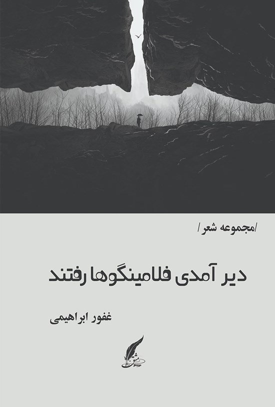 تصویر جلد کتاب دیر آمدی فلامینگوها رفتند