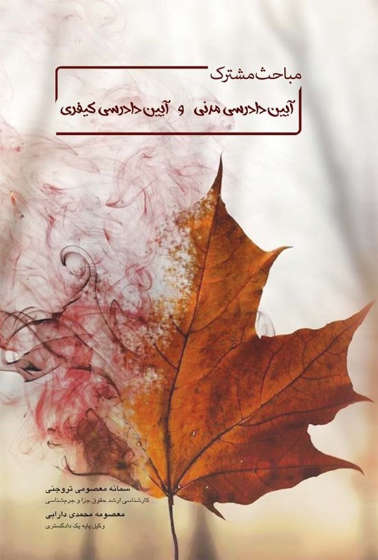 تصویر جلد کتاب مباحث مشترک آیین دادرسی مدنی و آیین دادرسی کیفری