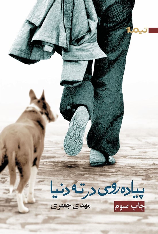 تصویر جلد کتاب پیادهرودی در ته دنیا
