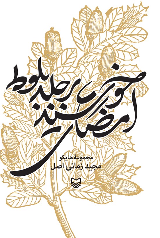 تصویر جلد کتاب امضای خورشید بر جلد بلوط
