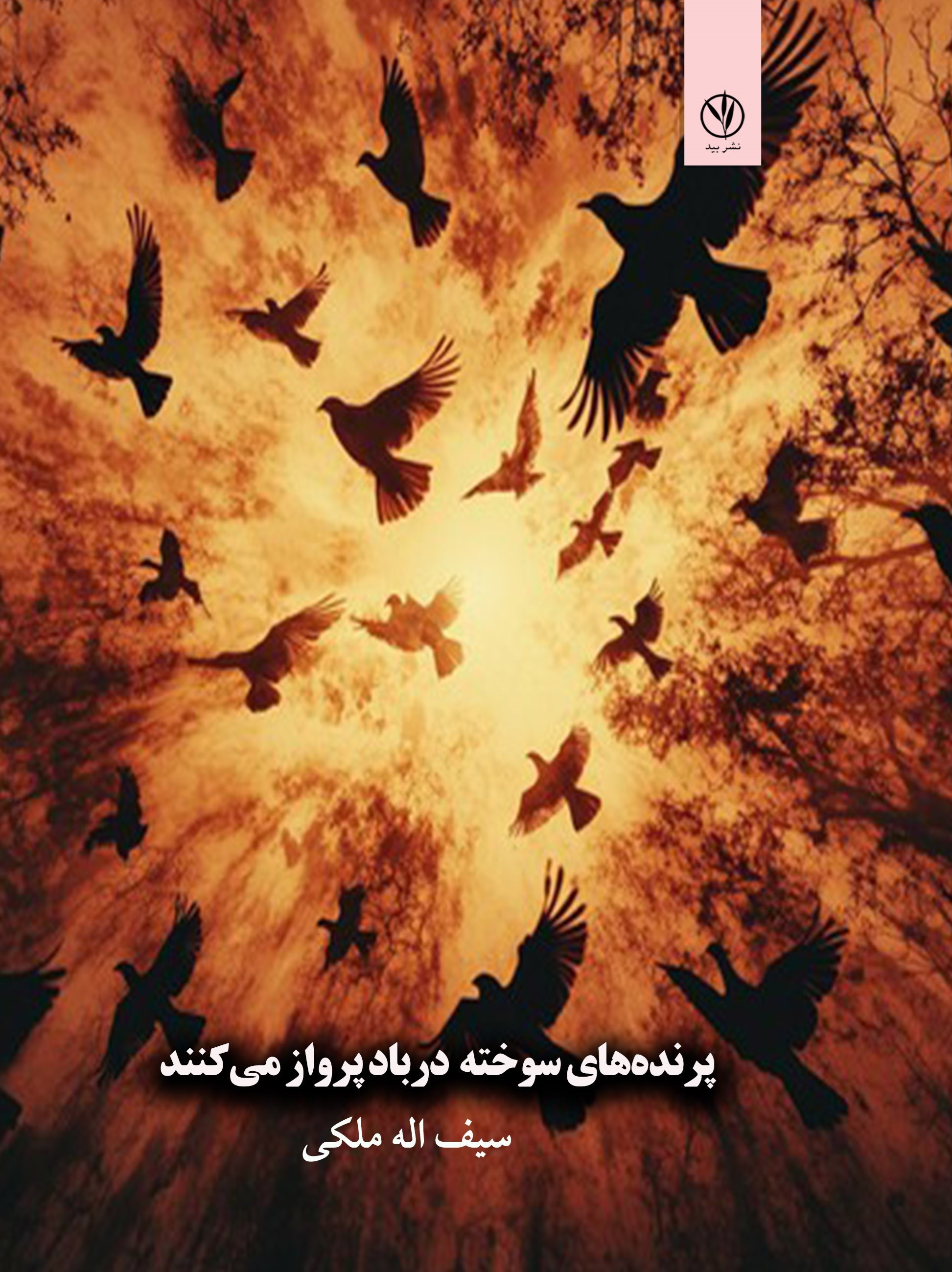 تصویر جلد کتاب پرنده های سوخته در باد پرواز می کنند