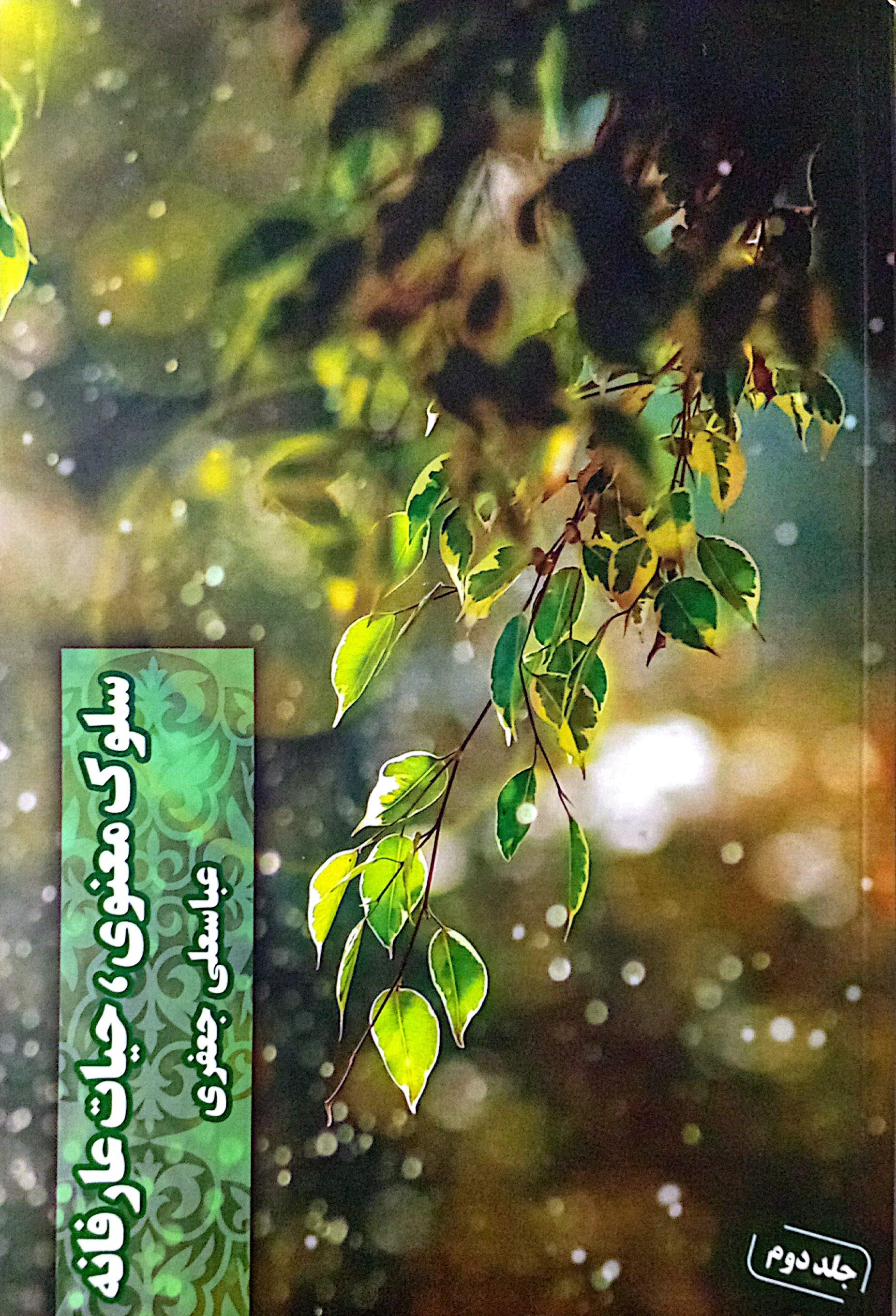 تصویر جلد کتاب سلوک معنوی، حیات عارفانه (جلد دوم)