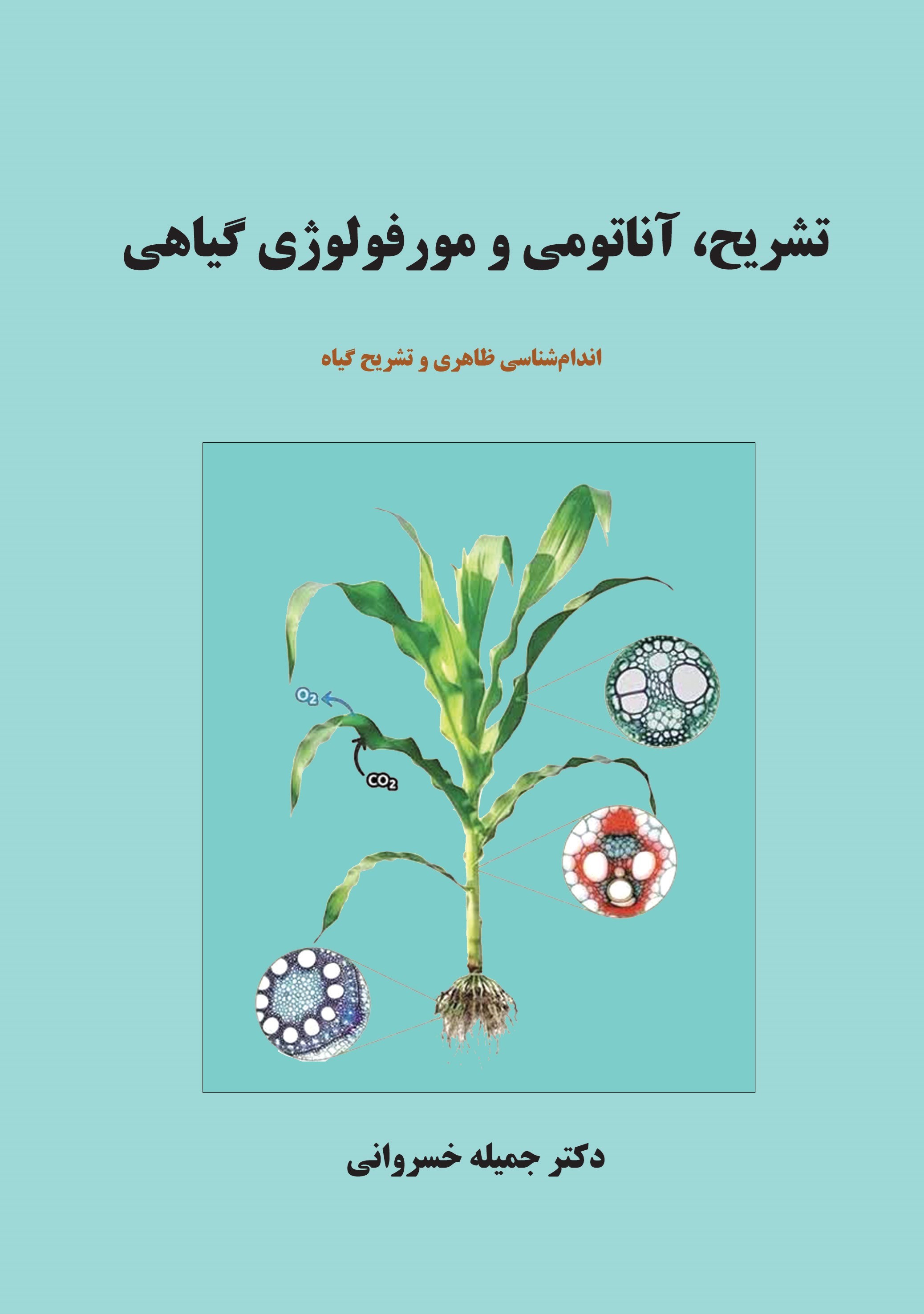 تصویر جلد کتاب تشریح، آناتومی و مورفولوژی گیاهی