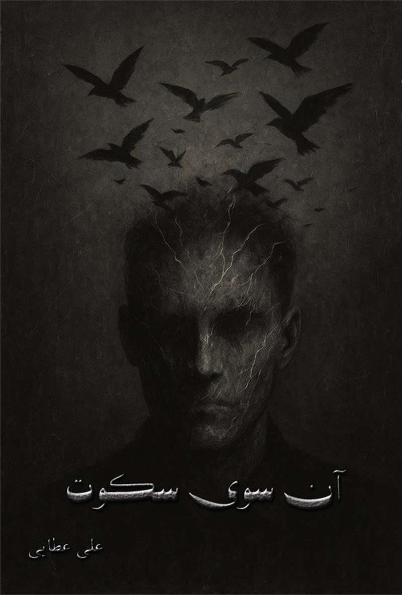 تصویر جلد کتاب آن سوی سکوت 