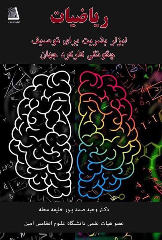 تصویر جلد کتاب ریاضیات ابزار بشریت برای توصیف چگونگی کارکرد جهان