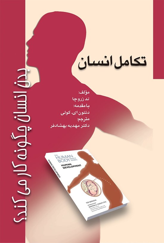 تصویر جلد کتاب بدن انسان چگونه کار میکند؟ تکامل انسان