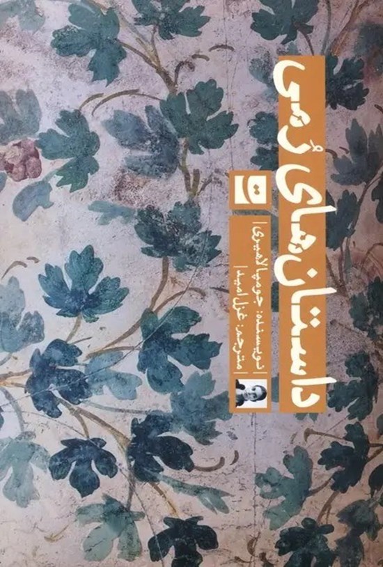 تصویر جلد کتاب داستان های رمی