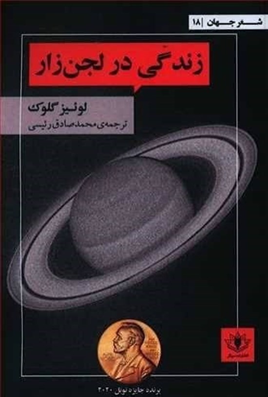 تصویر جلد کتاب زندگی در لجن زار