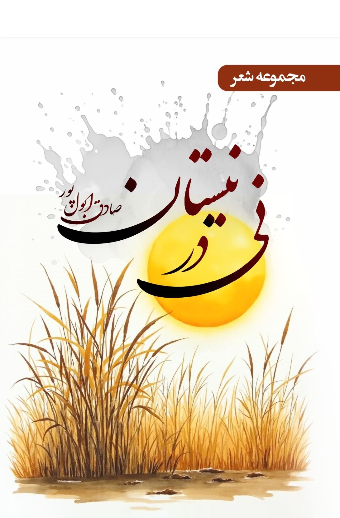 تصویر جلد کتاب نی در نیستان