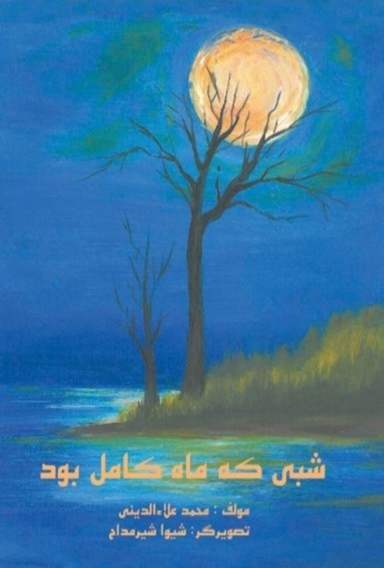 تصویر جلد کتاب شبی که ماه کامل بود