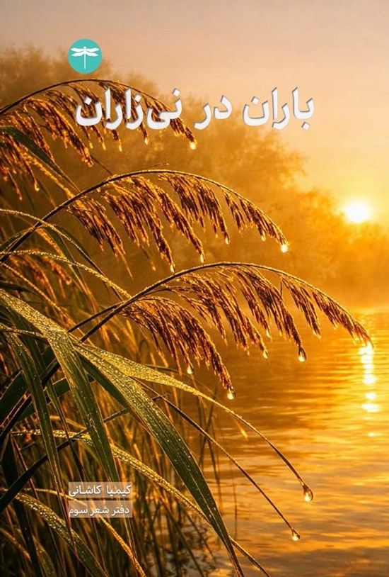 تصویر جلد کتاب باران در نی زارن