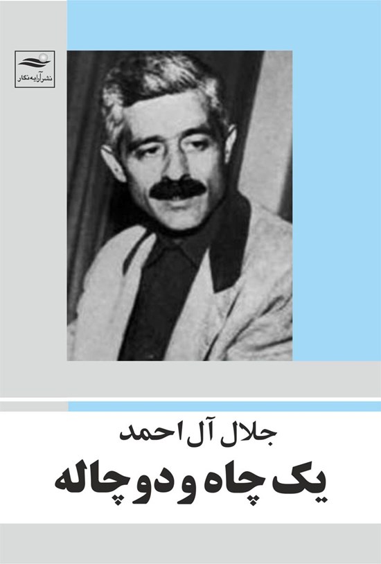 تصویر جلد کتاب یک چاه و دو چاله