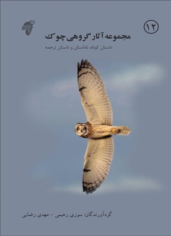 تصویر جلد کتاب مجموعه آثار گروهی چوک (۱۲)