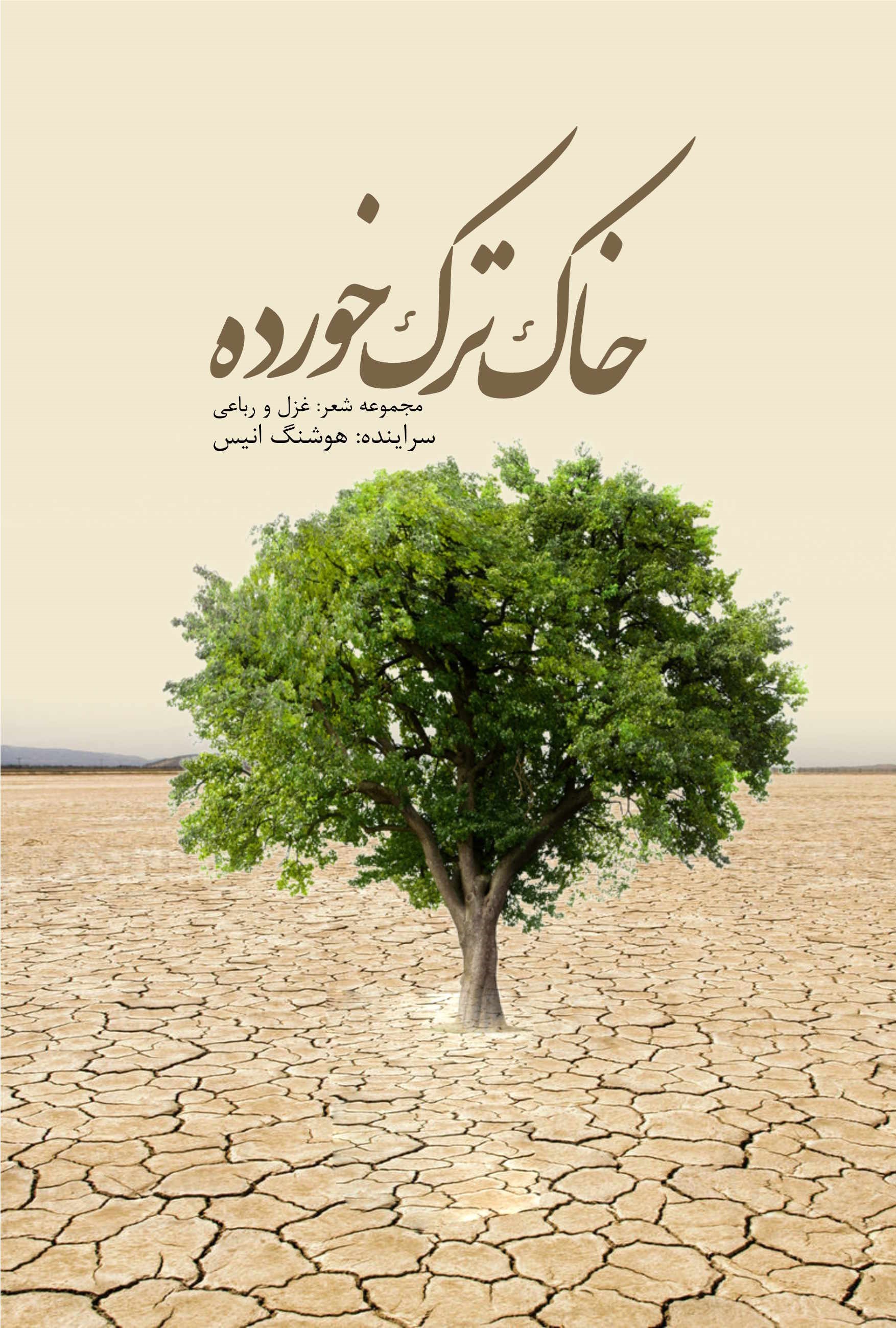 تصویر جلد کتاب خاک ترک خورده