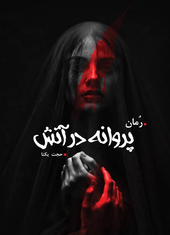 تصویر جلد کتاب پروانه در آتش