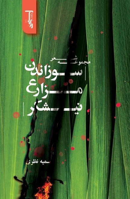 تصویر جلد کتاب سوزاندن مزارع نیشکر