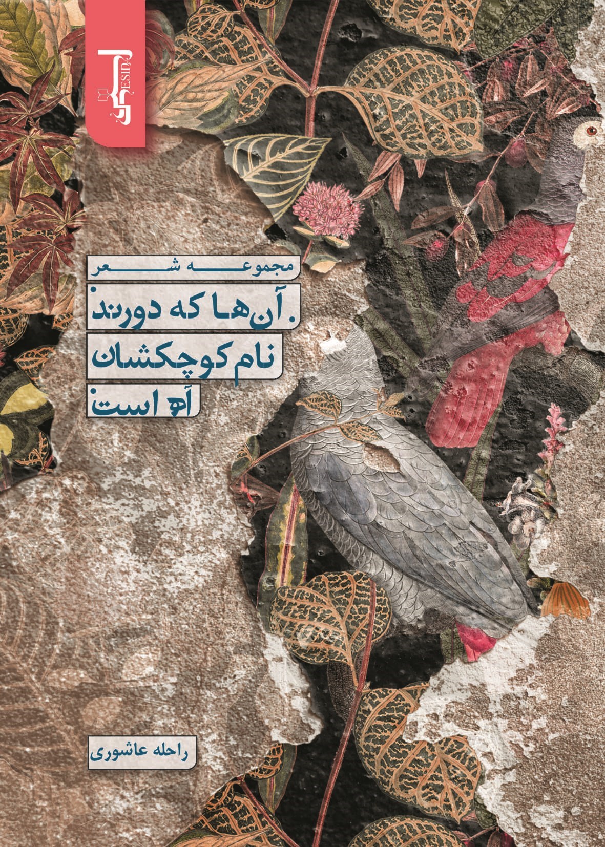 تصویر جلد کتاب آن ها که دورند نام کوچکشان آه است