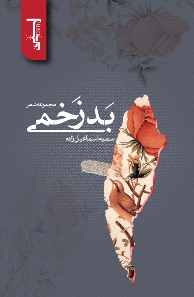 تصویر جلد کتاب بد زخمی