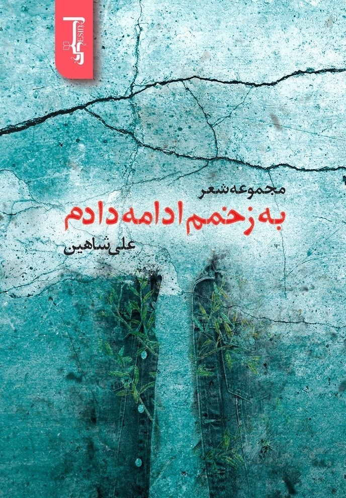 تصویر جلد کتاب به زخمم ادامه دادم