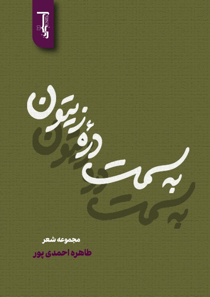تصویر جلد کتاب به سمت دره زیتون