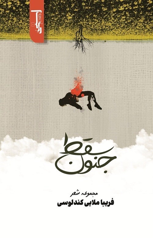 تصویر جلد کتاب سقط جنون