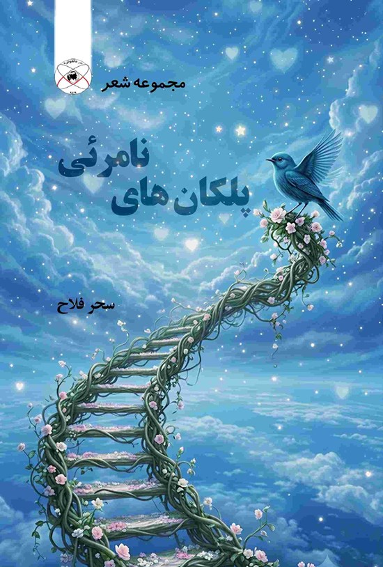 تصویر جلد کتاب پلکان های نامرئی