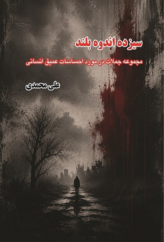 تصویر جلد کتاب سیزده اندوه بلند