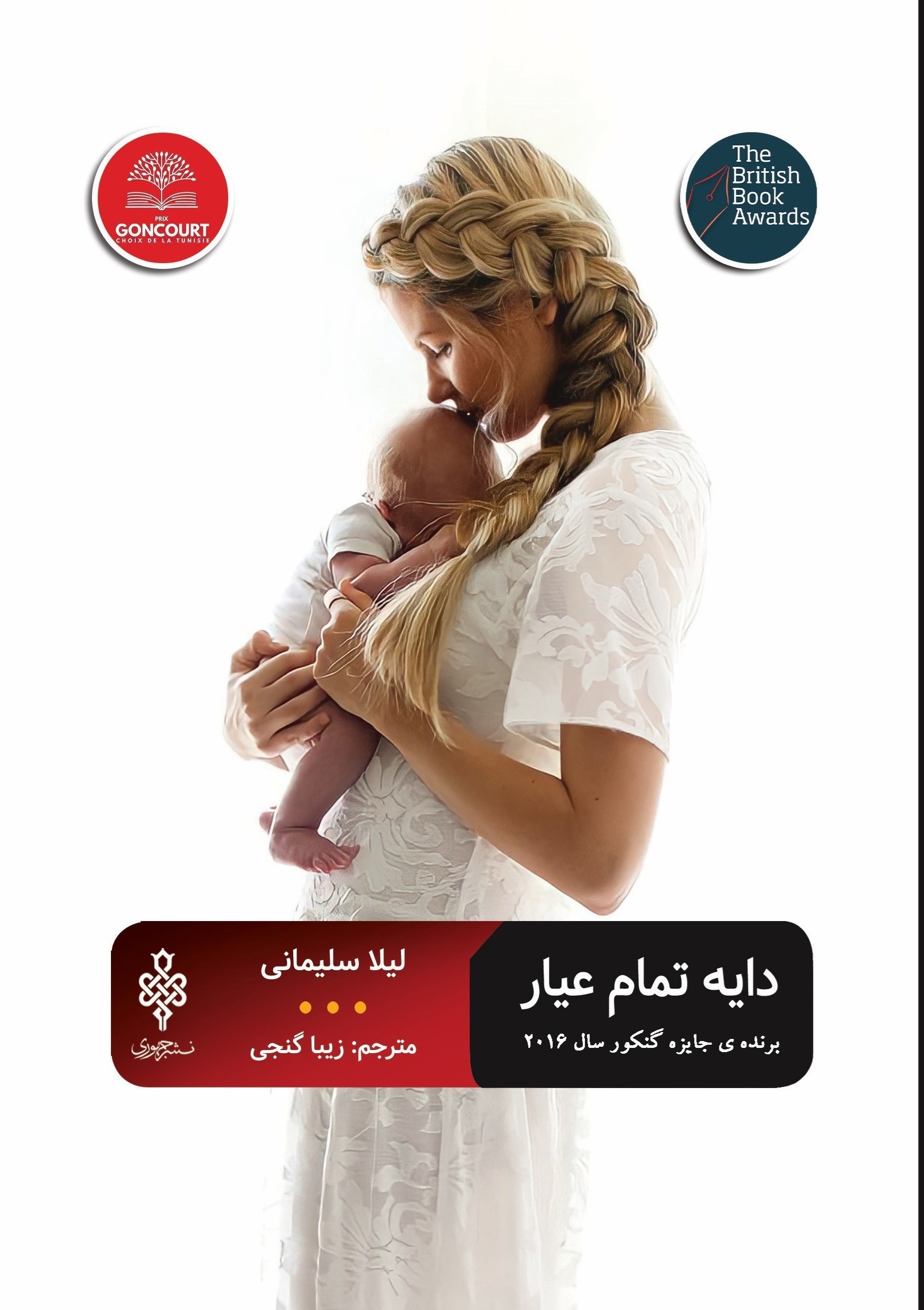 تصویر جلد کتاب دایه تمام عیار