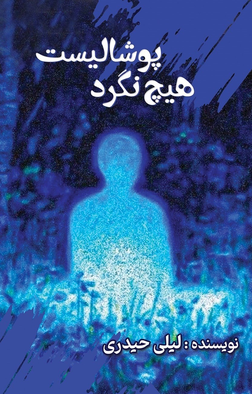 تصویر جلد کتاب هیچ نگرد پوشالیست
