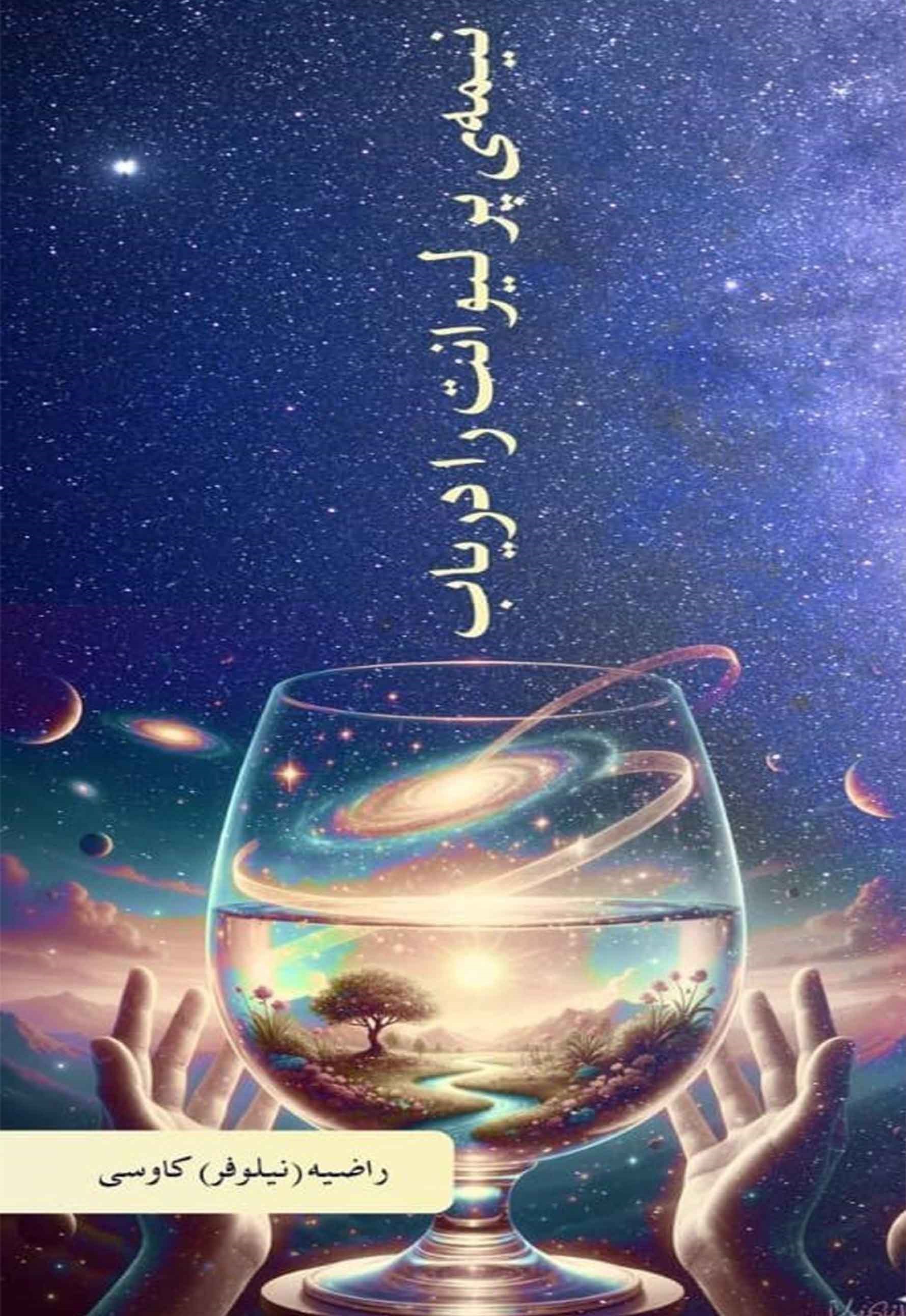 تصویر جلد کتاب نیمه پر لیوانت را دریاب