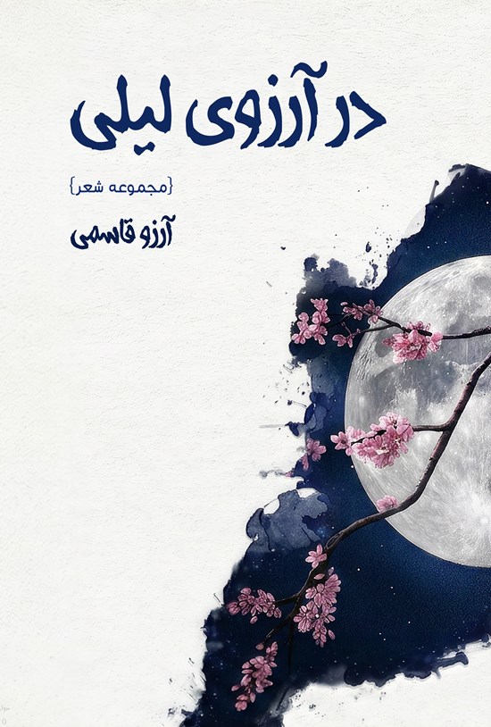 تصویر جلد کتاب در آرزوی لیلی