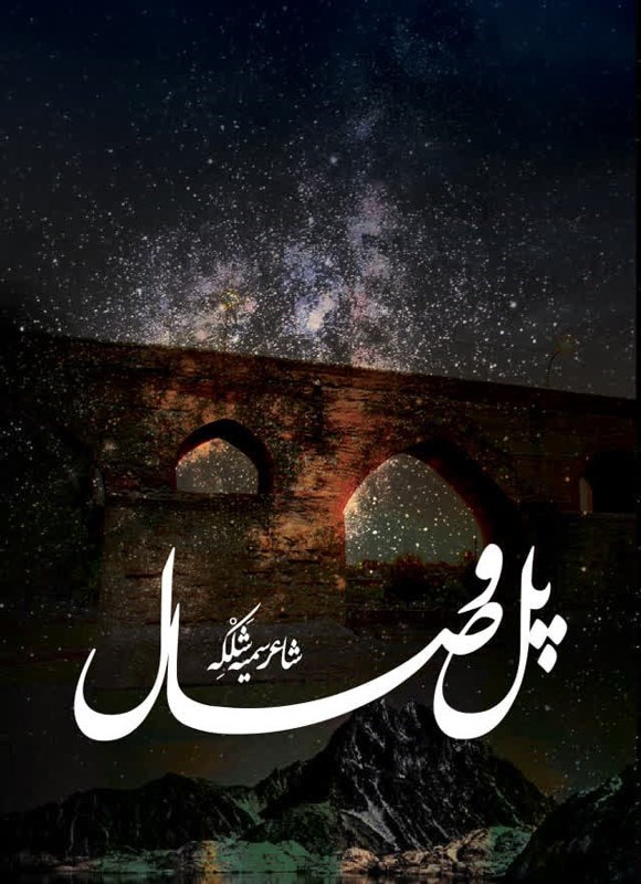 تصویر جلد کتاب پل وصال