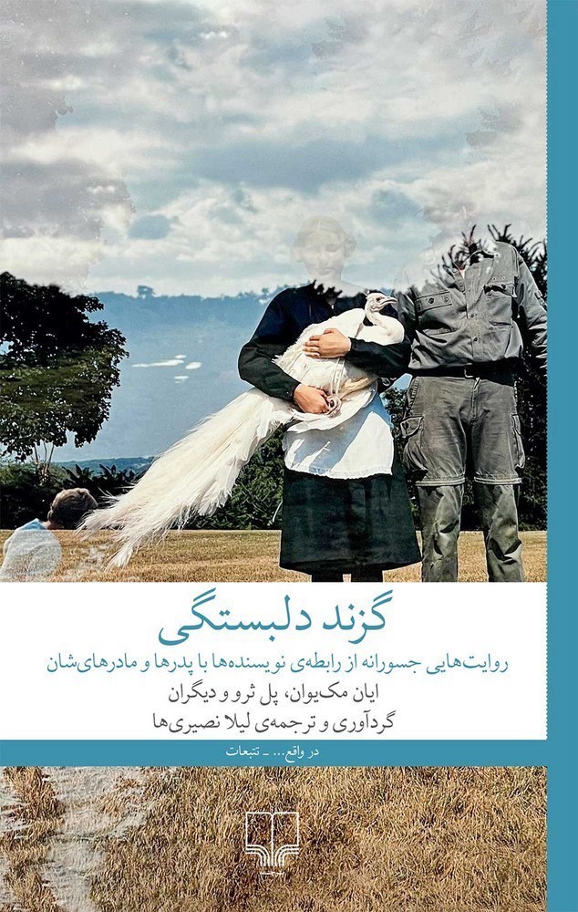 تصویر جلد کتاب گزند دلبستگی