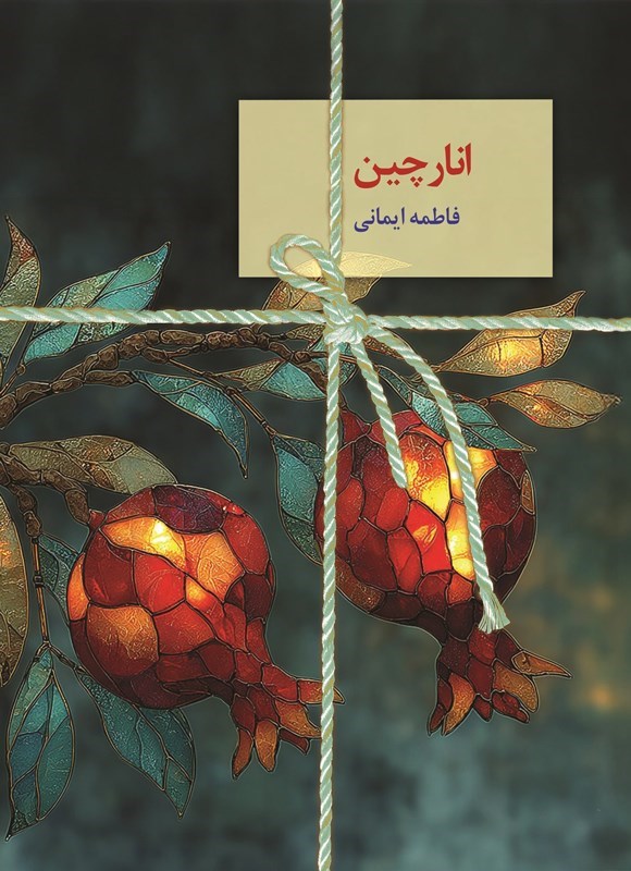 تصویر جلد کتاب انارچین