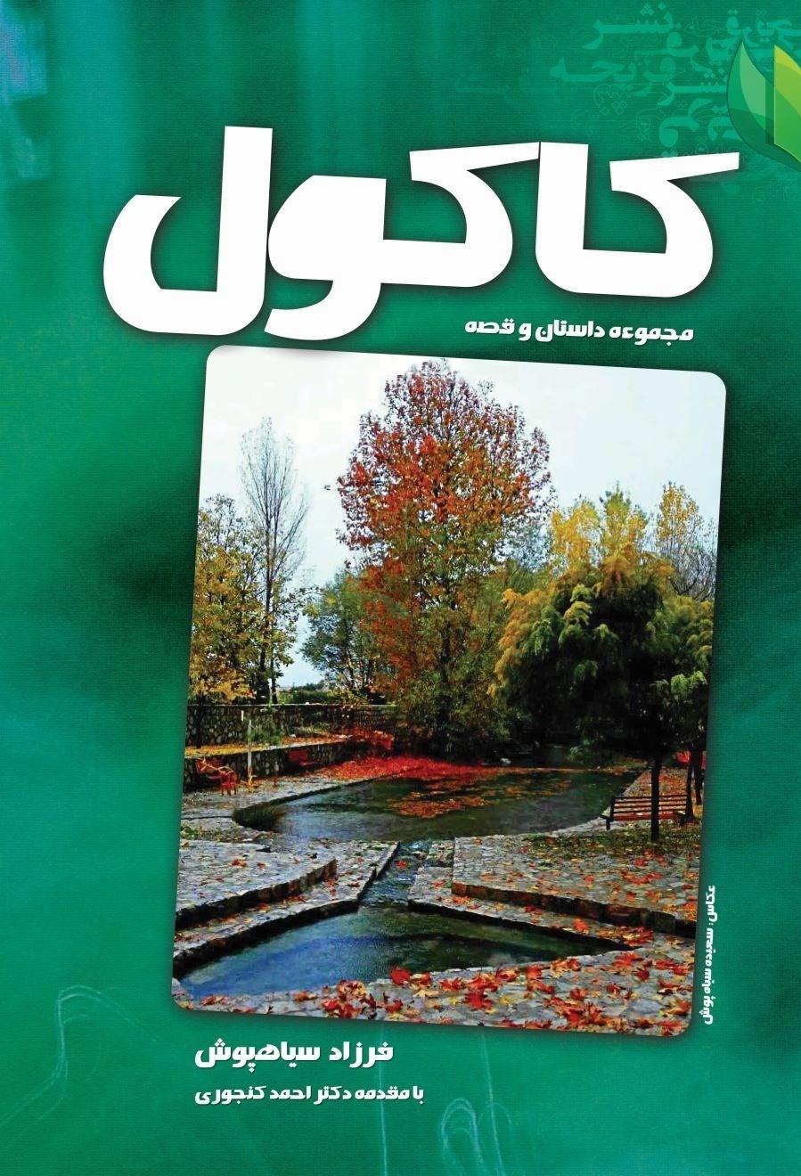 تصویر جلد کتاب کاکول