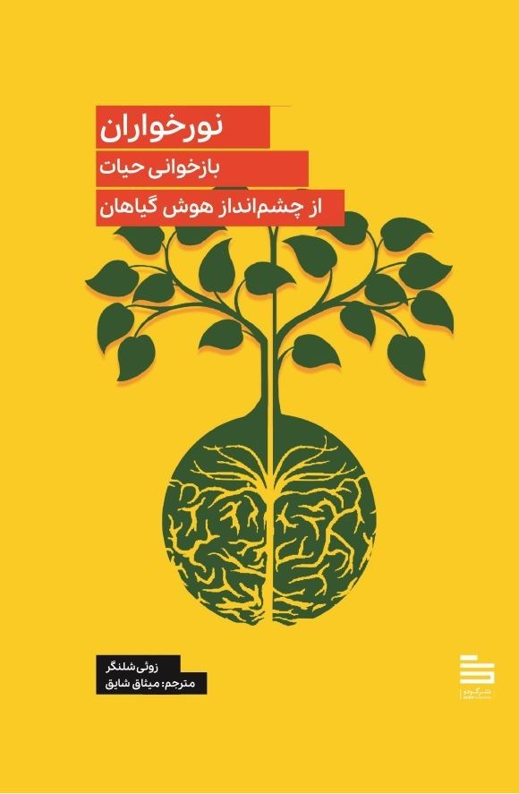 تصویر جلد کتاب نورخواران