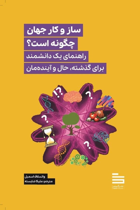 تصویر جلد کتاب ساز و کار جهان چگونه است؟