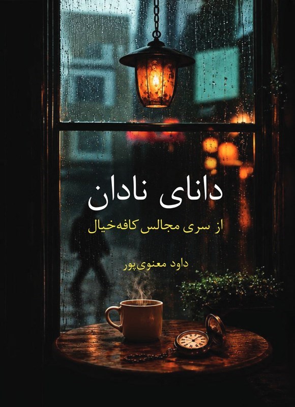 تصویر جلد کتاب دانای نادان