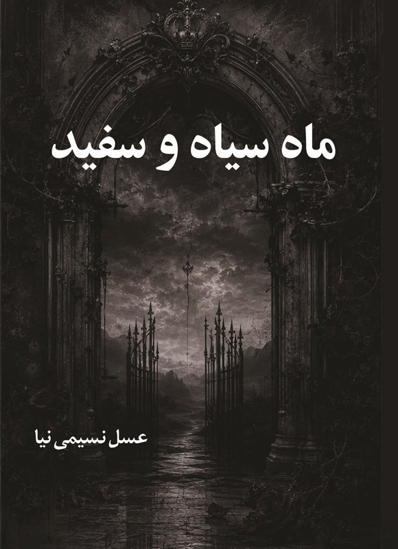 تصویر جلد کتاب ماه سیاه و سفید